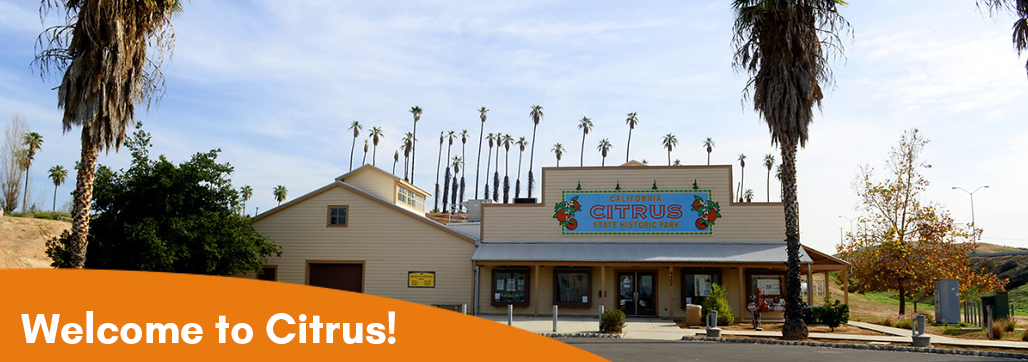 Welcome to Citrus Banner